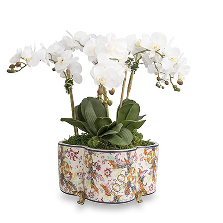 Tobacco Leaf Quatrefoil Planter