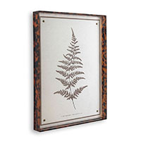 Sepia Fern I