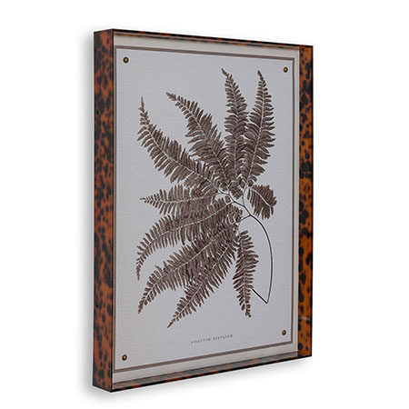 Sepia Fern II