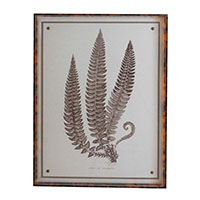 Sepia Fern V