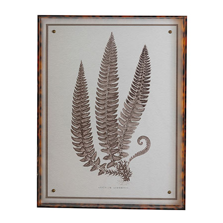 Sepia Fern V